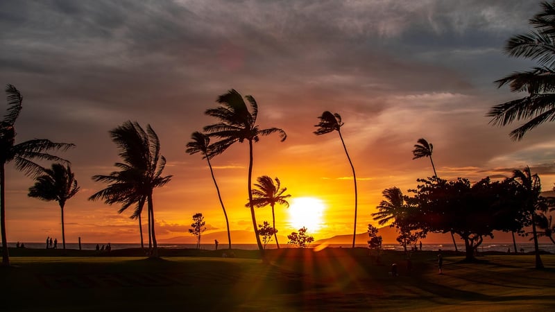 Maui